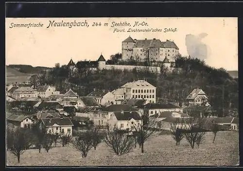 AK Neulengbach /N.-Oe., Ortsansicht mit Fürstl. Liechtenstein`schem Schloss