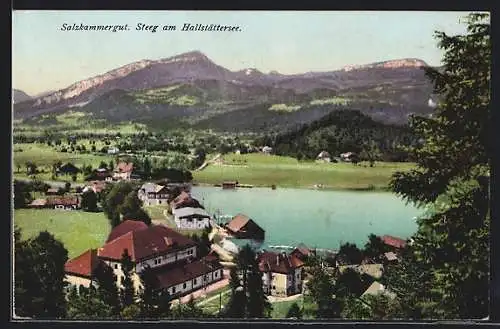 AK Steeg am Hallstättersee, Ortsansicht aus der Vogelschau