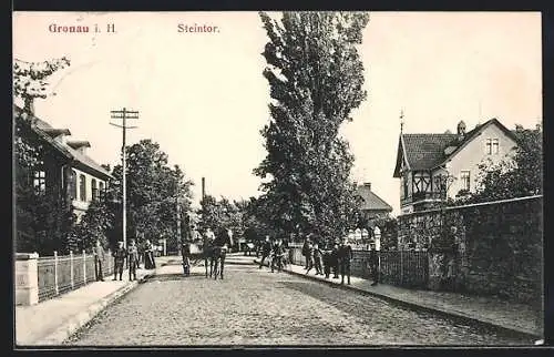 AK Gronau i. H., Steintor mit Kutsche