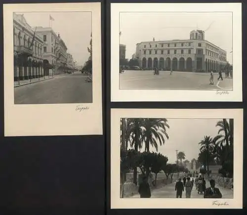 3 Fotoalben mit 204 Fotografien Ansicht Malta, Hellasfahrt 1936 in drei Bänden, Ragusa, Korfu, Delphi, Venedig