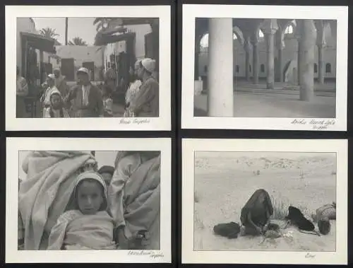 3 Fotoalben mit 204 Fotografien Ansicht Malta, Hellasfahrt 1936 in drei Bänden, Ragusa, Korfu, Delphi, Venedig