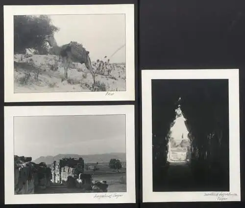 3 Fotoalben mit 204 Fotografien Ansicht Malta, Hellasfahrt 1936 in drei Bänden, Ragusa, Korfu, Delphi, Venedig