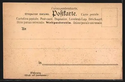 Lithographie Neapel, Palast der Königin Johanna, Reklame für Fabrik Apollo Wien