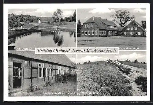 AK Undeloh /Lüneburger Heide, Bauerhofidyll, Jugendherberge, Am Dorfteich