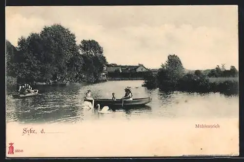 AK Syke, Ruderboote auf dem Mühlenteich, Schwäne