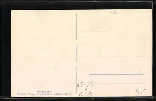 AK Altstetten, 16. Kantnales Musikfest 1925, Plastische Bilder ausgeführt vom Turnverein Altstetten