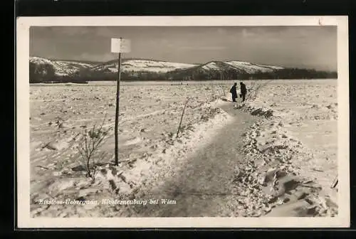 AK Klosterneuburg, Eisstoss-Übergang