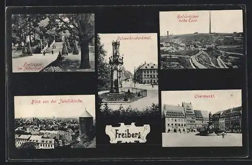 AK Freiberg i. Sa., Blick von der Jakobikirche, Freitreppe im Albertpark, Schwedendenkmal, Halsbrücker Hohe Esse