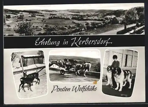 AK Kerbersdorf, Pension Wolfshöhe, Inh. Ferdi Wolf, Ortsansicht