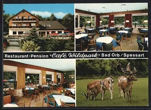 AK Bad Orb /Spessart, Restaurant-Pension Café Wildpark, Bes. Fam. Ludwig Heimrich, Villbacher Strasse