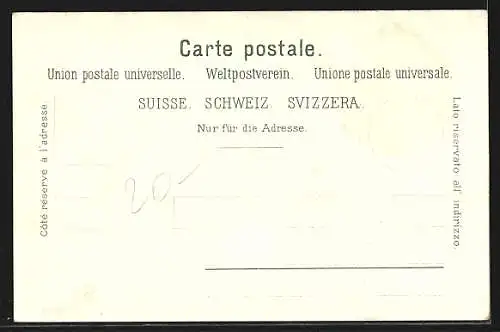 Lithographie Montreux, Totalansicht aus der Vogelschau