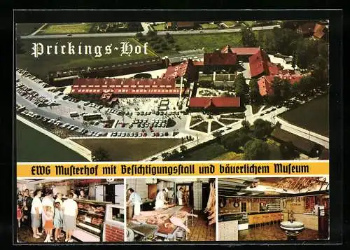 AK Haltern-Sythen, Europahof Prickings-Hof, EWG Musterhof