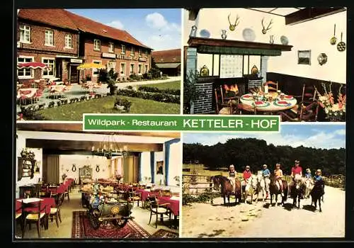 AK Haltern-Lavesum, Wildpark-Restaurant Ketteler Hof, Terrasse, Innenansicht, Reitunterricht