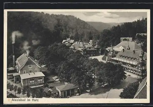 AK Alexisbad /Harz, Ortsansicht aus der Vogelschau