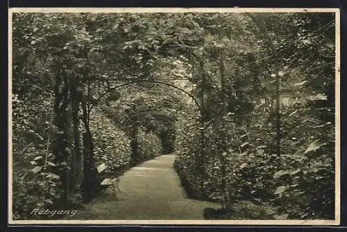 AK Offenburg (Baden), Kloster Unserer Lieben Frau - Rebgang