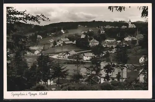 AK Spiegelau /Bay., Gesamtansicht aus der Vogelschau