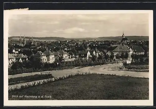 AK Naumburg a. d. Saale, Blick über die Dächer