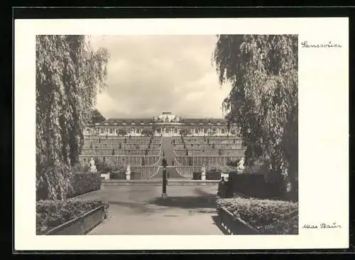 Foto-AK Max Baur: Blick auf das Schloss Sanssouci