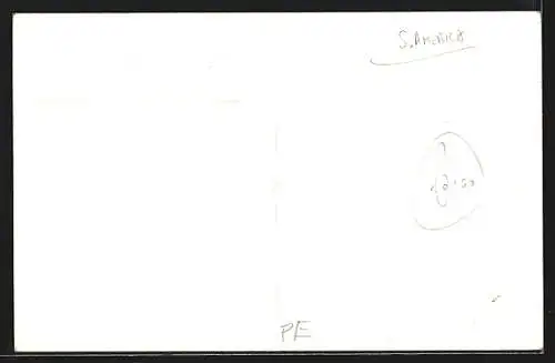 AK Lima, Palacio de la Municipalidad