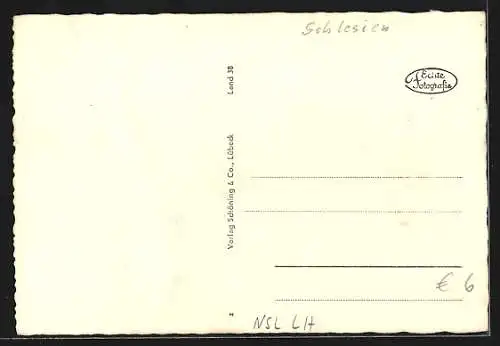 AK Landeshut, Blick auf die Stadt mit Riesengebirge