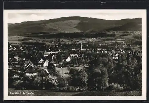 AK Bad Altheide, Ortsansicht von oben