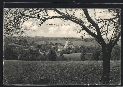 AK Wartberg a. d. Krems, Ortsansicht von einer Wiese aus