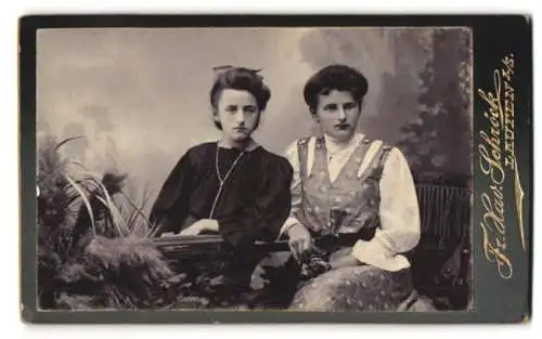 Fotografie F. X. Schröck, Laufen a. d. Salzach, Bezirksamtsgasse, Zwei Junge Damen in modischer Kleidung
