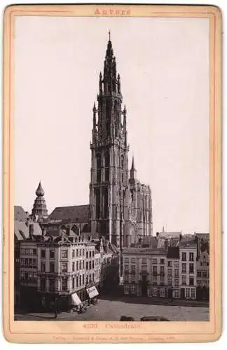 Fotografie Lichtdruck Römmler & Jonas, Dresden, Ansicht Anvers, Geschäfte und Blick auf die Cathedrale