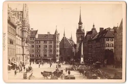 Fotografie Ferd. Finsterlin, München, Ansicht München, Blick auf den Marienplatz mit Kutschen, Trockenstempel