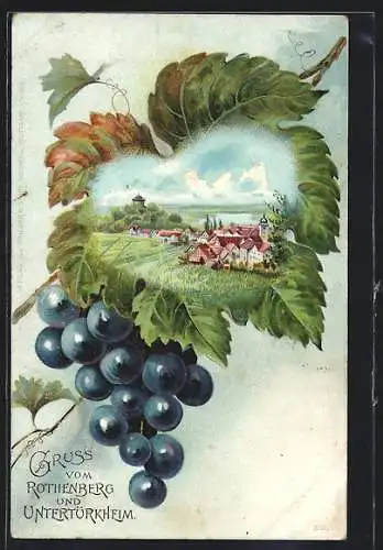 Passepartout-Lithographie Rothenberg bei Untertürkheim, Teilansicht, Wein