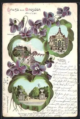 Passepartout-Lithographie Dresden, Belvedere, Kgl. Grosser Garten, Kgl. Schloss Georgentor