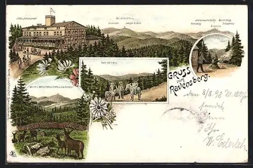 Lithographie Bad Sachsa, Hotel und Restaurant Ravensberg, brocken und Wurmberg, Kuck ins Tal