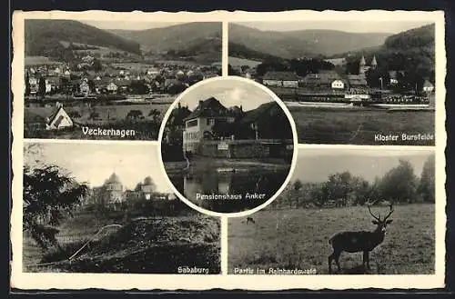 AK Veckerhagen, Kloster Bursfelde, Sababurg, Gasthaus u. Pensionshaus Anker, Bes. H. Peter, Hirsch