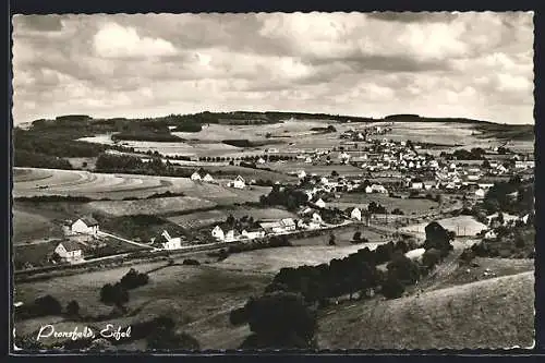 AK Pronsfeld /Eifel, Gesamtansicht aus der Vogelschau