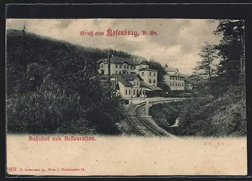 AK Rosenburg /N. Ö., Bahnhof und Restauration, von den Schienen gesehen