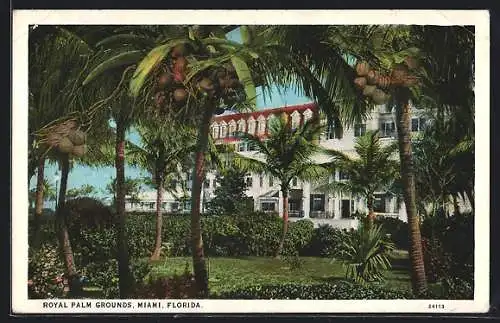 AK Miami, FL, Royal Palm Grounds