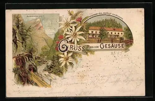 Vorläufer-Lithographie Gstatterboden /Gesäuse, 1893, Bernhofers Hotel, Eisenbahntunnel und Planspitze