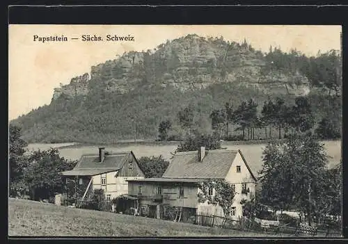 AK Bad Schandau, Papststein, Häuser am Ufer