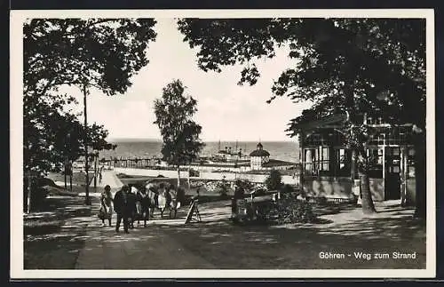 AK Göhren / Ostseebad, Weg zum Strand