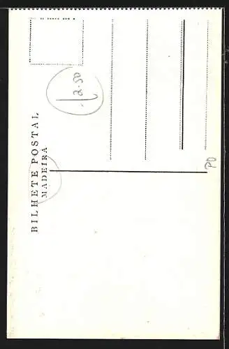 AK Madeira, Descida de Carros do Monte