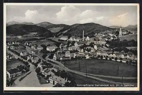 AK Steinabrückl /N. D., Ortsansicht mit Strasse und Bergpanorama aus der Vogelschau