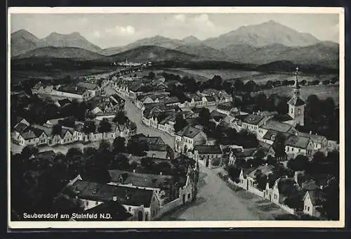 AK Saubersdorf a. Steinfeld, Ortsansicht mit Strasse und Bergpanorama aus der Vogelschau