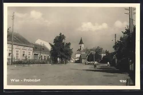 AK Probstdorf, Strassenpartie zur Kirche