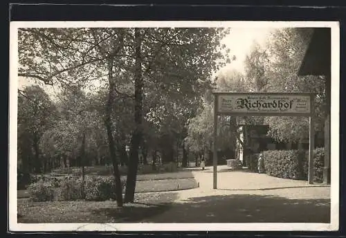 AK Gumpoldskirchen, Meierei Cafe Restauration Richardhof