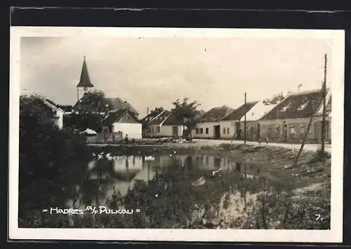 AK Hadres a. d. Pulkau, Ortspanorama mit Strasse und Kirche, vom Wasser gesehen