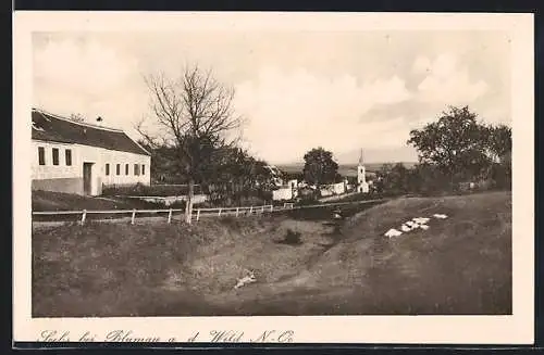 AK Ludweis-Aigen, Seebs, Partie mit Blick zur Kirche