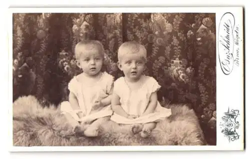 Fotografie Osw. Schmidt, Pirna, Bismarckstr., Niedliche Zwillinge auf Fell sitzend