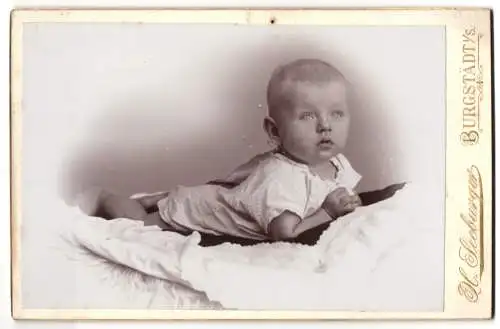 Fotografie H. Seeburger, Burgstädt i. S., Niedliches Baby im weissen Kleid mit hellen erstaunten Augen