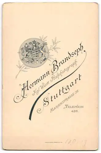 Fotografie H. Brandseph, Stuttgart, Marienstrasse 36, Bürgerliches Paar, Herr mit Schnurrbart