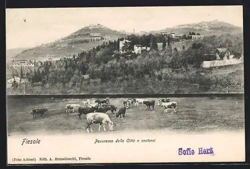 AK Fiesole, Ortspanorama